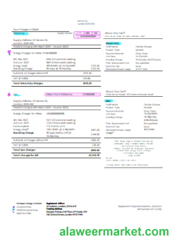 Octopus Energy utility business bill SCR page 2